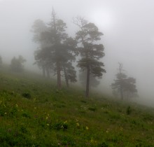 Über Spaziergang in den Wolken 1 / ***