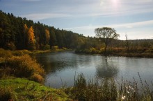 Herbst / ***