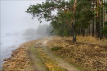 Misty silence. / ***