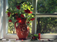 Pitcher with Kalina / ***