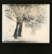 Rainy Pariser Polaroid / *****