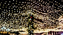 Festive bokeh / ....