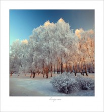 Winter patterns / ***