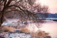 Pink Morning / ***