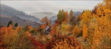 / What is the autumn .... / / ***