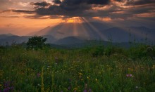 Symphony of Light / ...