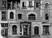 They are so different ... / ...........