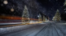 Santa's trail ~ / Santa's trail ~