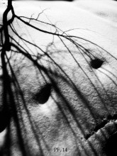 face winter / ***