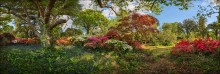Blooming in the Exbury Gardens / Exbury Gardens is one of the most delightful places around the world. Impressive collection of rhododendrons, azaleas, camellias and rare trees... all together are in bloom at the end of May. True fantastic sight!
for more info: http://www.exbury.co.uk/website/
This artwork is also available in the spherical panorama technique here:
https://www.360cities.net/profile/awesome/image/uk-exbury-gardens-13-england
The native resolution 17513 x 5929px is available by special request.
Shooting and processing method: stitching panoramic, 2 rows of 8 photos with overlapping, HDR from 3 steps exposure bracketing.