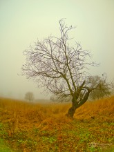 On the edge of autumn / ..............