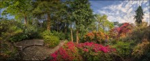 UK. Exbury Gardens #12 / ***
