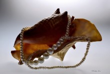 Pearls .. / ***