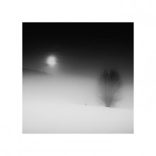 Night fog ...... ...... / ***
