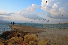Birds and clouds / ***
