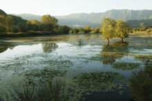 Skadar Lake. / ***