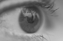 In St. Petersburg. / ...