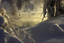 Snow Study / ***