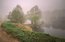 Foggy morning / ***