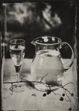 [4] / Ambrotype 13x18,
f11, 50 s,
Hugo Meyer trioplan 300/3.5