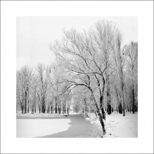 frosty silence / ***