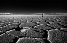Adrift / *****
