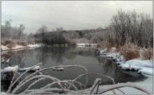 Again, light white snow wrapped every blade of grass. / ***