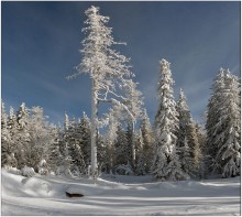 In the open arms of snow / ***