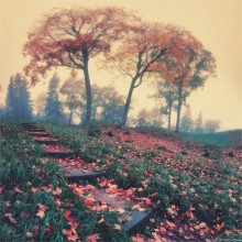 Herbst / ***