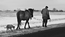 Shevili hooves / ***