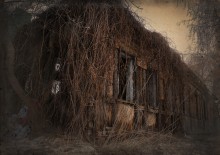 Life after life / ***