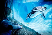 The meeting of two worlds / ***