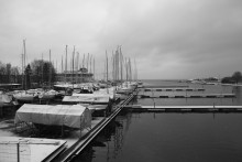 Yacht Club / ...