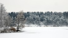 Der erste Schnee des Jahres 2014. / ***