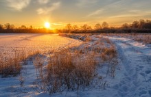 Birth of a new day / ***