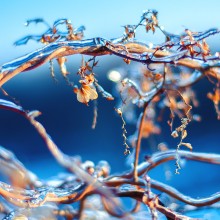 Icy ... / ***