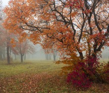 Herbst / ***