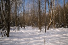 Januar-Tag-2 / ________________*