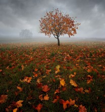 * October * / ***