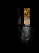 entrance to Fall / ***