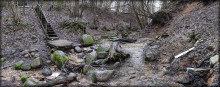 springs in the middle of winter / ***