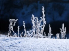 Ornamente für Schneewittchen / -30