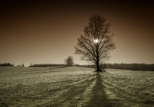 Winter melancholy / ***