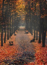 In silence. / ***