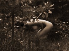 Wood nymph / ***