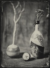 [14] / Ambrotype 13x18,
f8, 30 s,
Hugo Meyer trioplan 300/3.5
