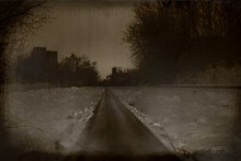 Verlassene Zweig / ***