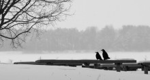 Love - is when do not look at each other, and in the same direction / ***