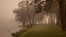 On a misty shore / ***