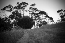 Footpath / ***